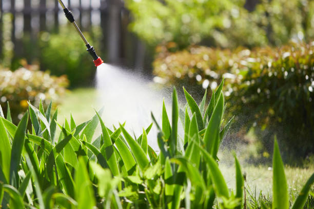 24/7 Emergency Rodent Control experts in Bloomfield, MO